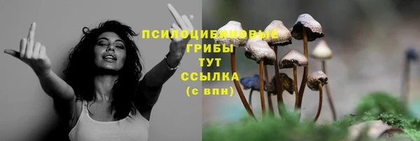 спиды Заволжье